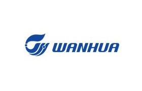 WANHUA
